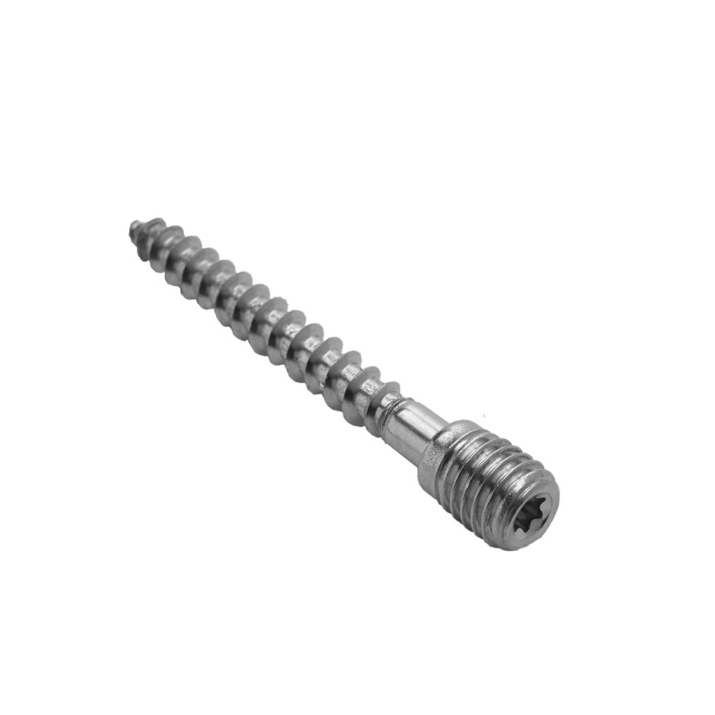 Schroefstift RVS voor scharnierpijpbeugel M10x70mm
