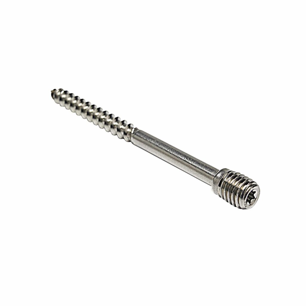Schroefstift RVS voor scharnierpijpbeugel M10x100 mmm